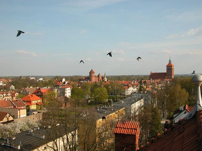 panorama miasta od ul. Krasickiego