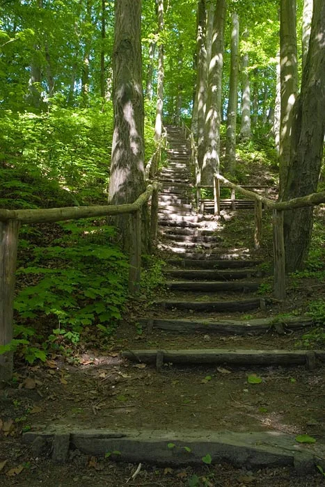 Park miejski w Reszlu bierze udział w konkursie