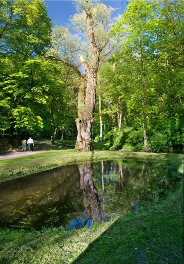 Park miejski w Reszlu bierze udział w konkursie