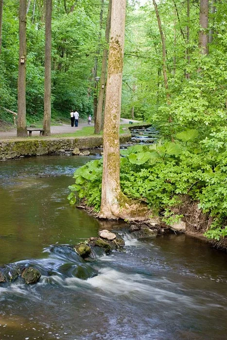 Park miejski w Reszlu bierze udział w konkursie
