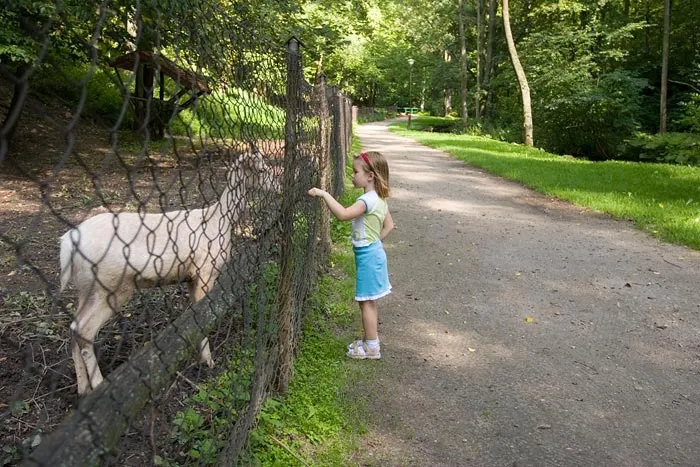 Park miejski w Reszlu bierze udział w konkursie