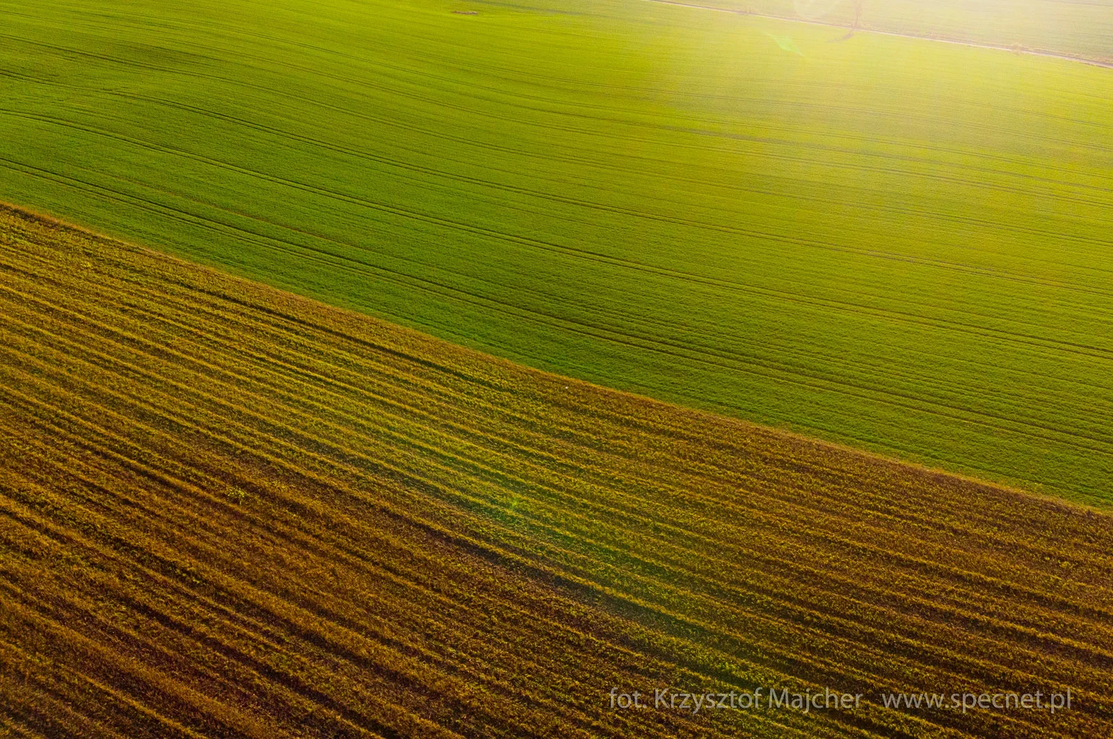 DJI_0389