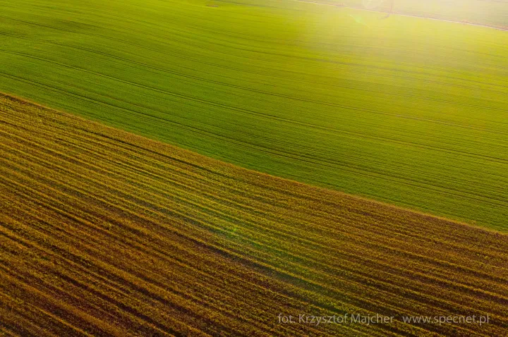 DJI_0389