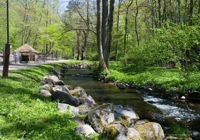 KONKURS NA NAJPIĘKNIEJSZY PARK W POLSCE