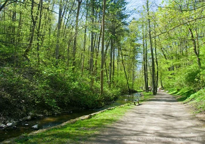 KONKURS NA NAJPIĘKNIEJSZY PARK W POLSCE