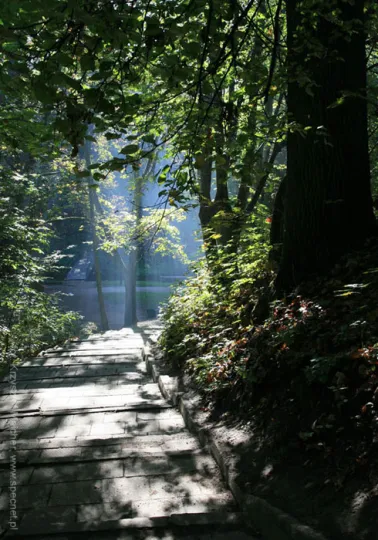 KONKURS NA NAJPIĘKNIEJSZY PARK W POLSCE