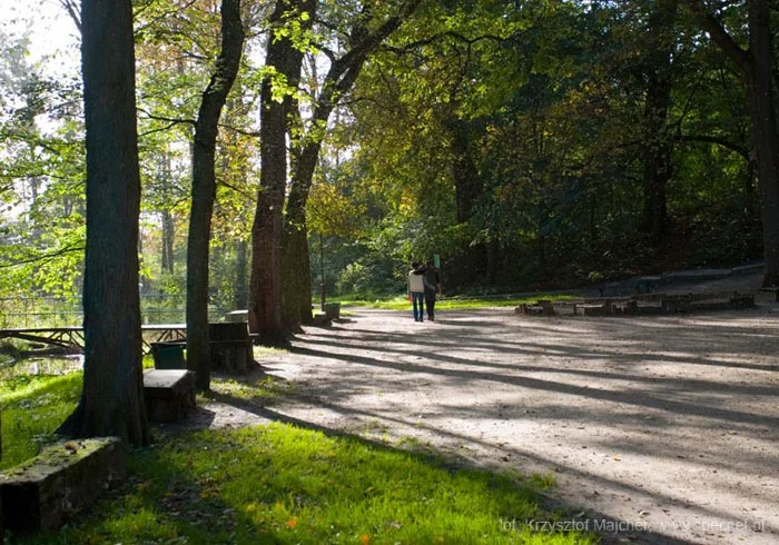 KONKURS NA NAJPIĘKNIEJSZY PARK W POLSCE